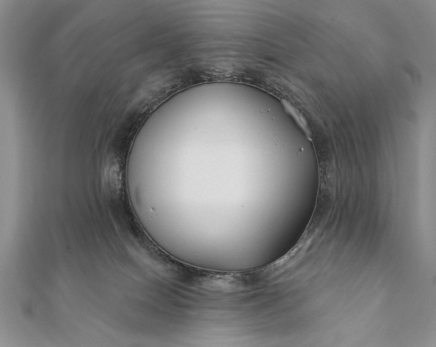 X0000112060086200908181208