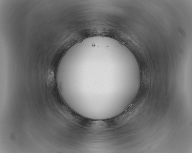 X0000112060087200908181208