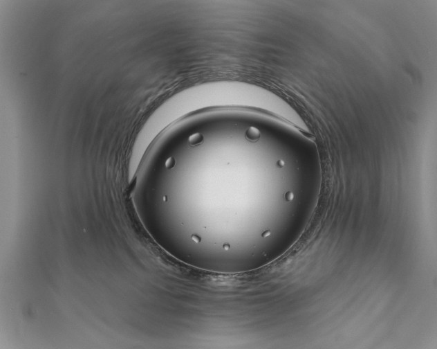 X0000112060088200908181208