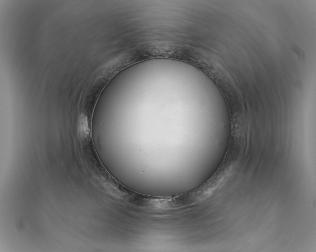 X0000112060089200908181208