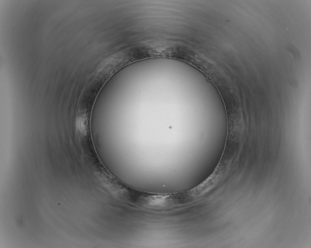 X0000112060090200908181208