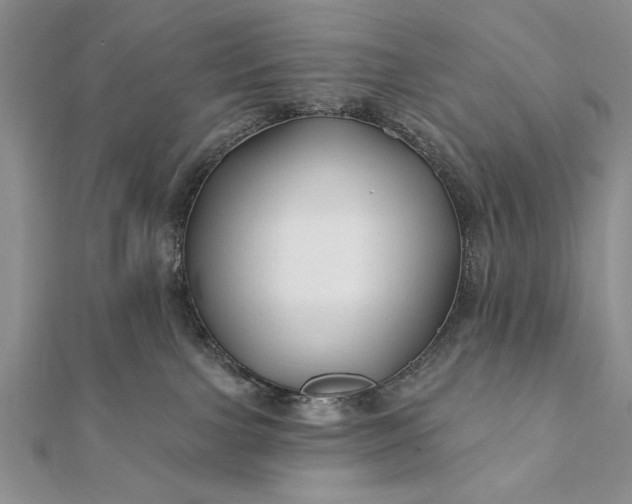 X0000112060091200908181208