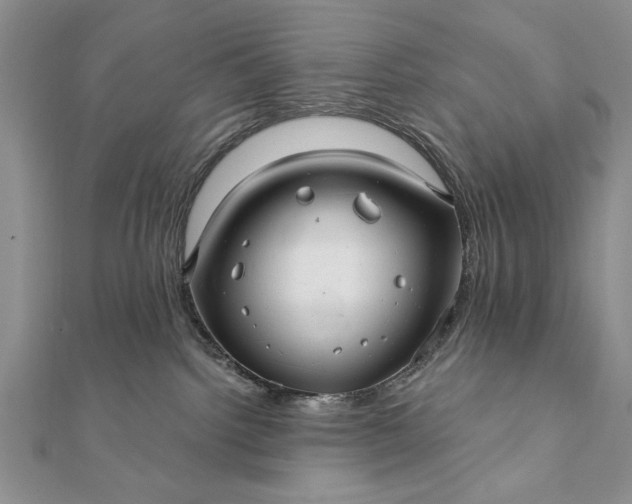 X0000112060092200908181208