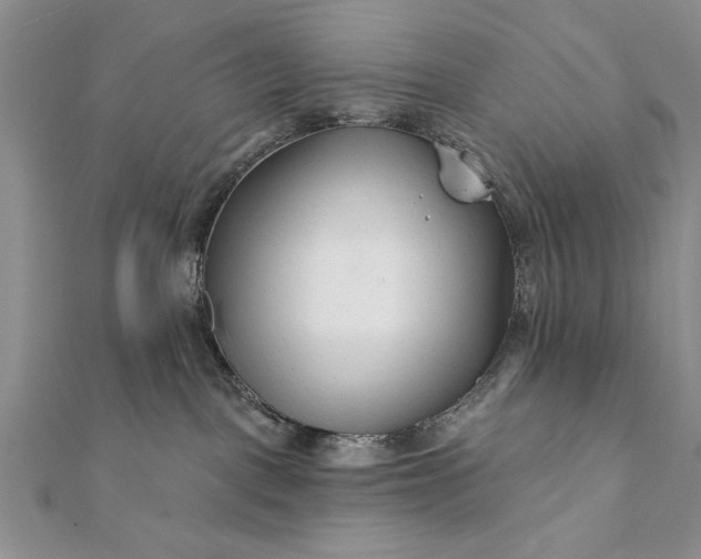 X0000112060093200908181208