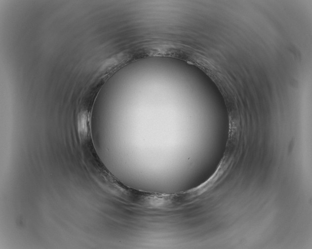 X0000112060094200908181208