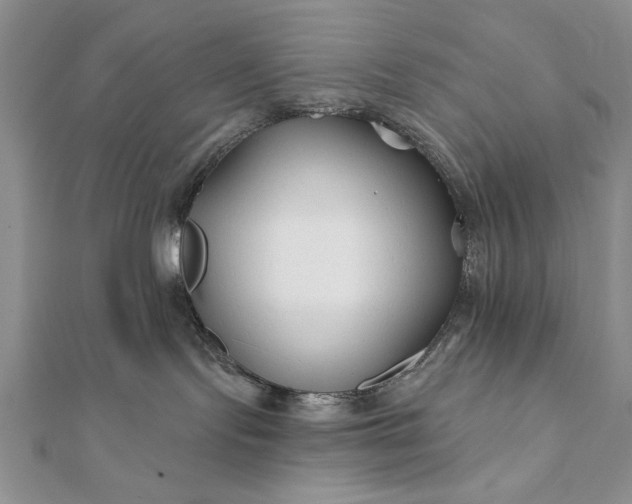 X0000112060095200908181208