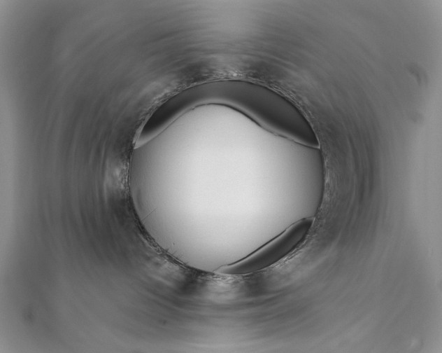 X0000112060096200908181208