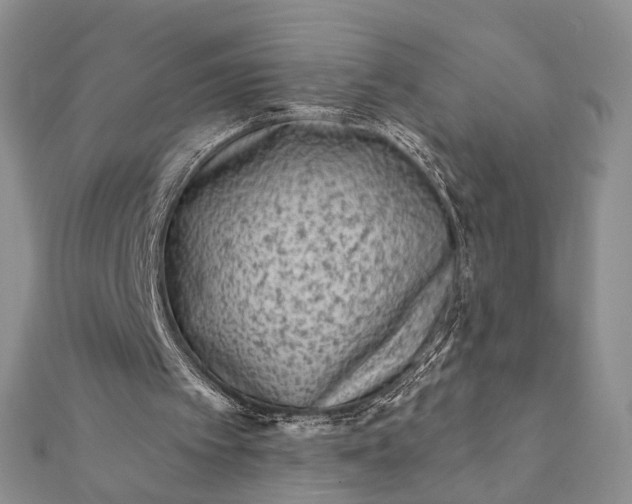 X0000112060097200908181207