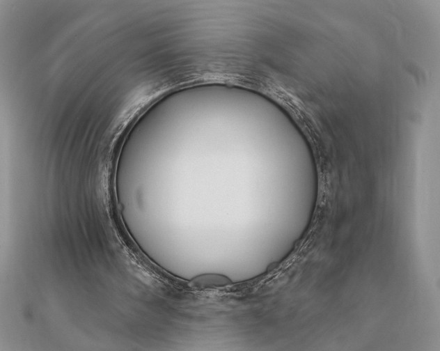 X0000112060098200908181207