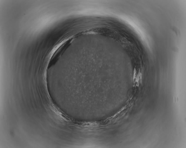 X0000112060099200908181207