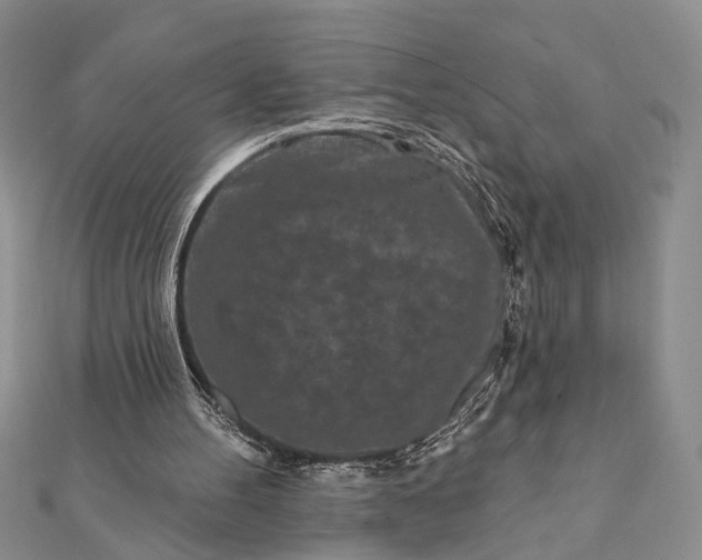 X0000112060100200908181207