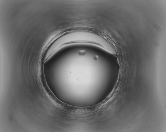 X0000112060101200908181207