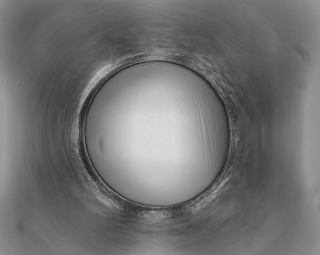 X0000112060102200908181207