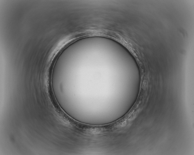 X0000112060103200908181207