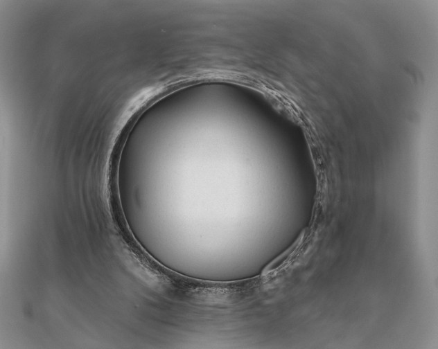 X0000112060104200908181207