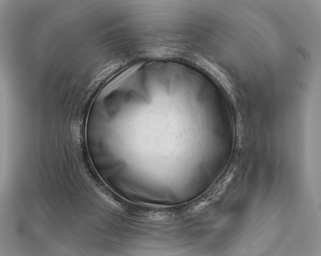 X0000112060105200908181207