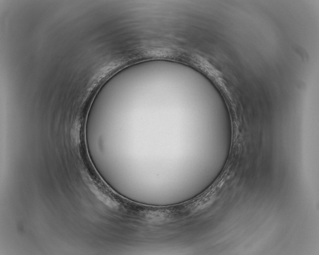 X0000112060106200908181207