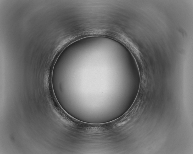 X0000112060107200908181207