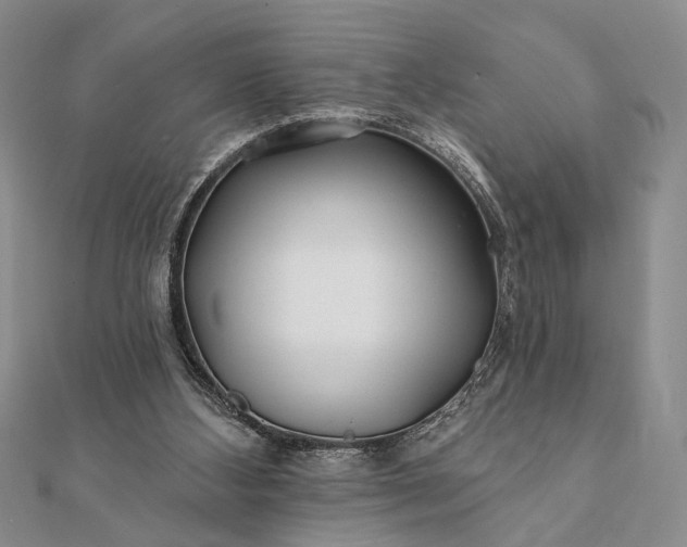 X0000112060108200908181207