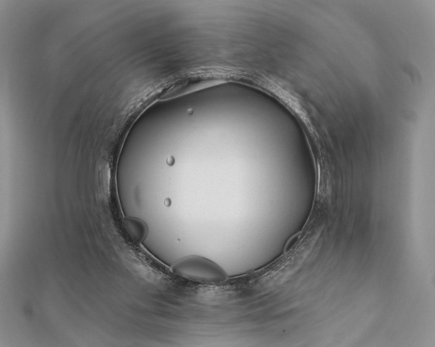 X0000112060109200908181207