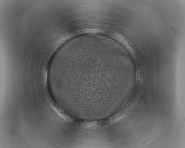 X0000112060110200908181207