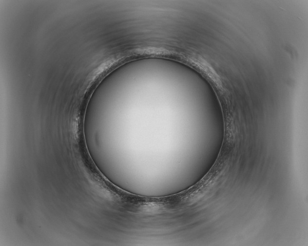 X0000112060111200908181207