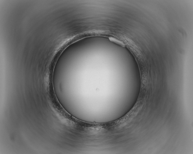 X0000112060112200908181207