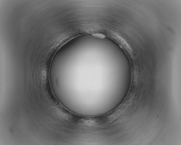 X0000112060113200908181207