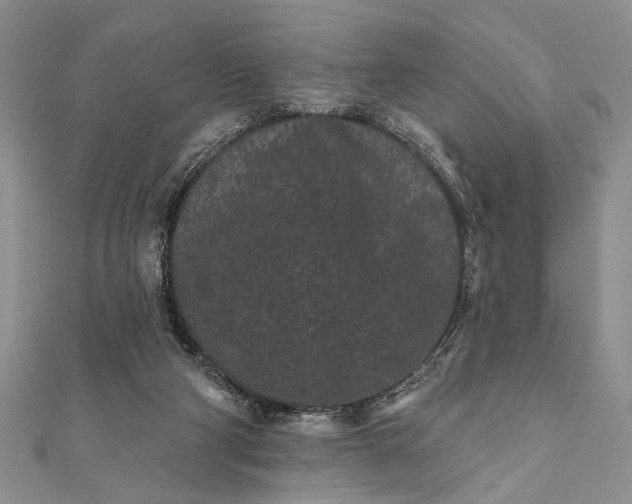 X0000112060114200908181207