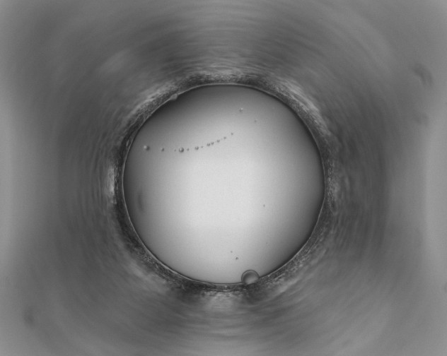 X0000112060115200908181207