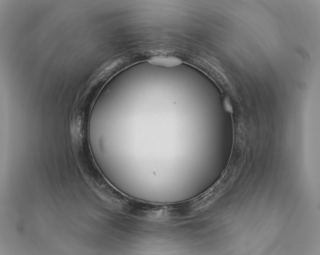 X0000112060116200908181207