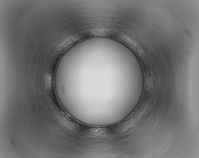 X0000112060117200908181207