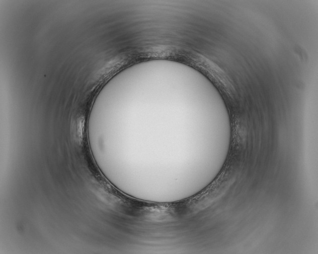 X0000112060118200908181207