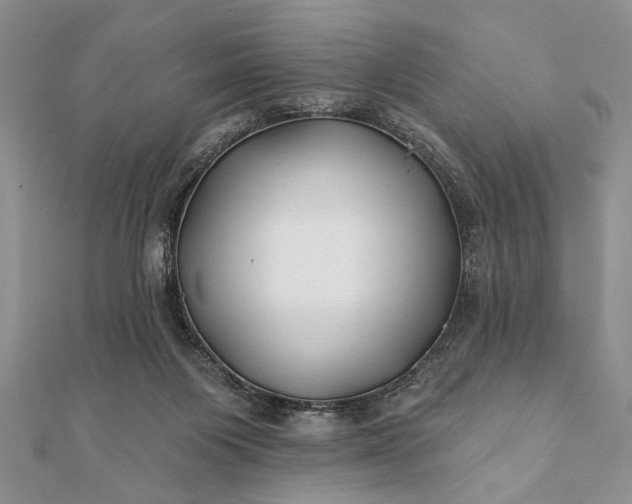 X0000112060119200908181207