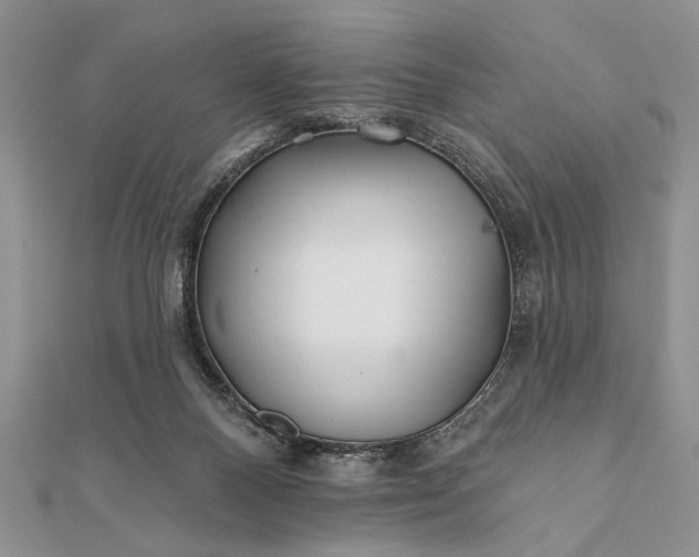 X0000112060120200908181207