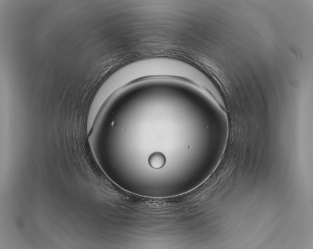 X0000112060121200908181207