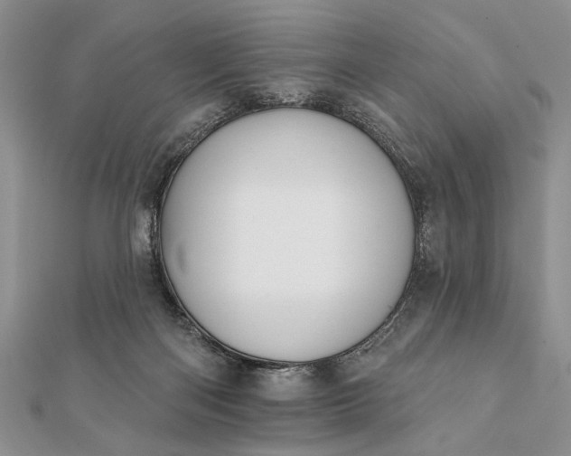 X0000112060122200908181207