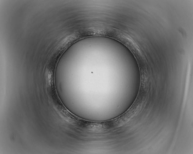 X0000112060123200908181207