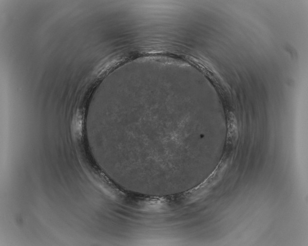 X0000112060124200908181207