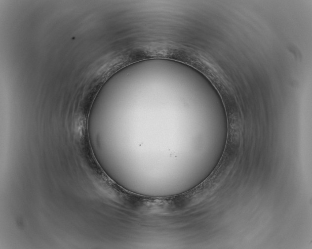 X0000112060125200908181207