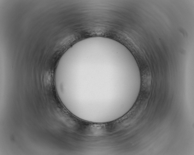 X0000112060126200908181207