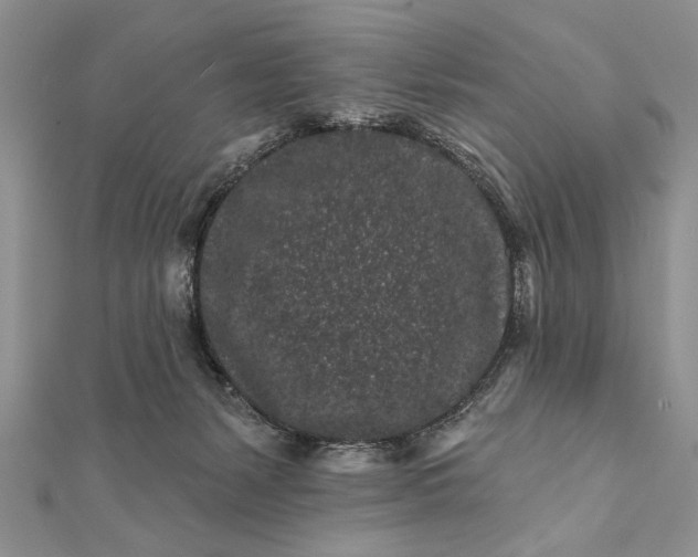 X0000112060127200908181207