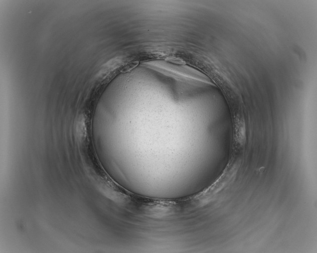 X0000112060128200908181207