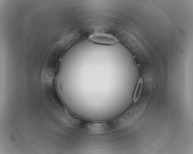 X0000112060129200908181207