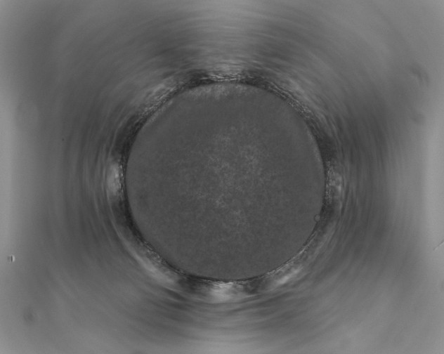 X0000112060130200908181207