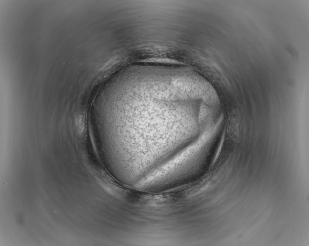 X0000112060131200908181207