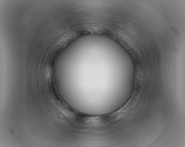 X0000112060132200908181206