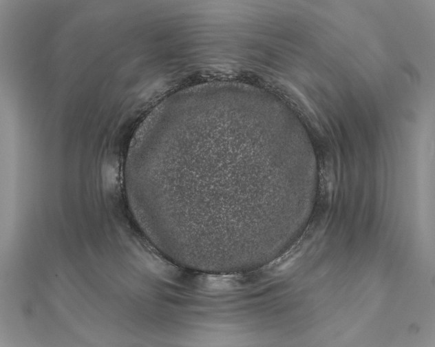 X0000112060134200908181206