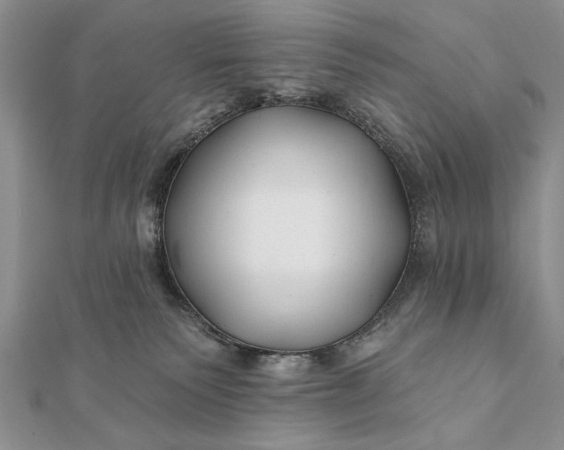 X0000112060135200908181206