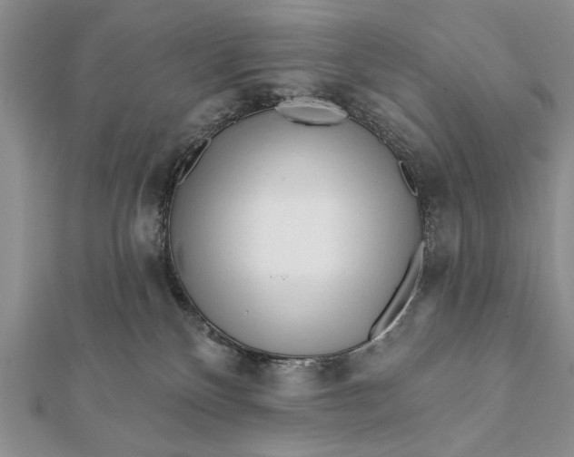 X0000112060136200908181206